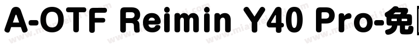 A-OTF Reimin Y40 Pro字体转换